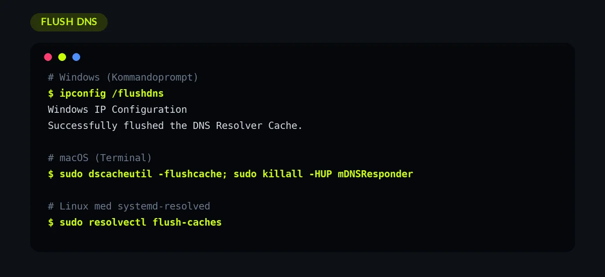 Terminal med kommandoerne til at tømme DNS-cachen på Windows, macOS og Linux