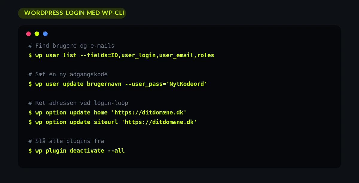 Terminal med WP-CLI-kommandoer til at finde brugere og nulstille en WordPress-adgangskode